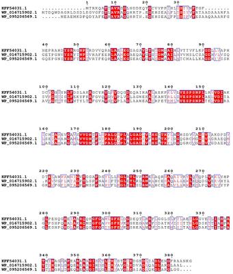 Identification and Characterization of an O-Succinyl-L-Homoserine Sulfhydrylase From Thioalkalivibrio sulfidiphilus